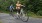 a group of people riding bikes